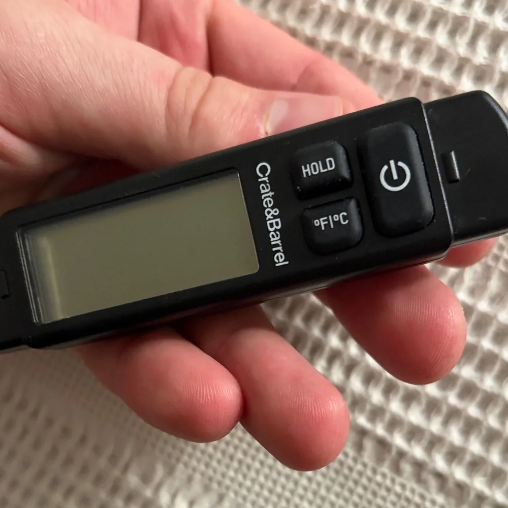 Crate&Barrel Black Digital Thermometer